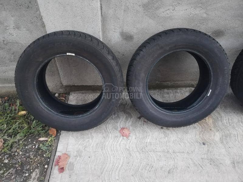 Platin Germany 195/65 R15 Zimska