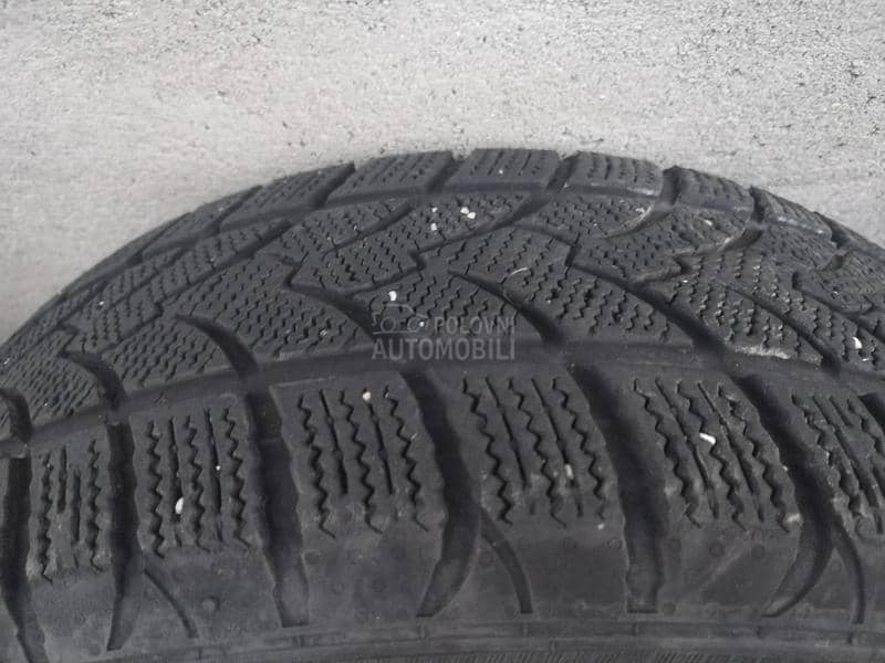 Platin Germany 195/65 R15 Zimska