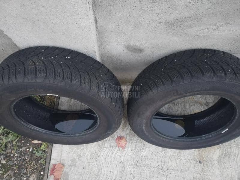 Platin Germany 195/65 R15 Zimska