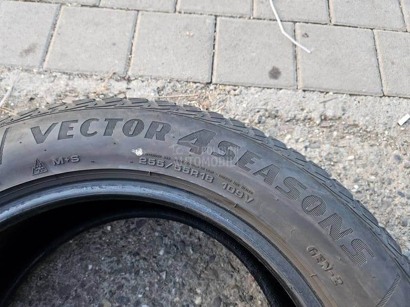 Goodyear 255/55 R18 Sve sezone