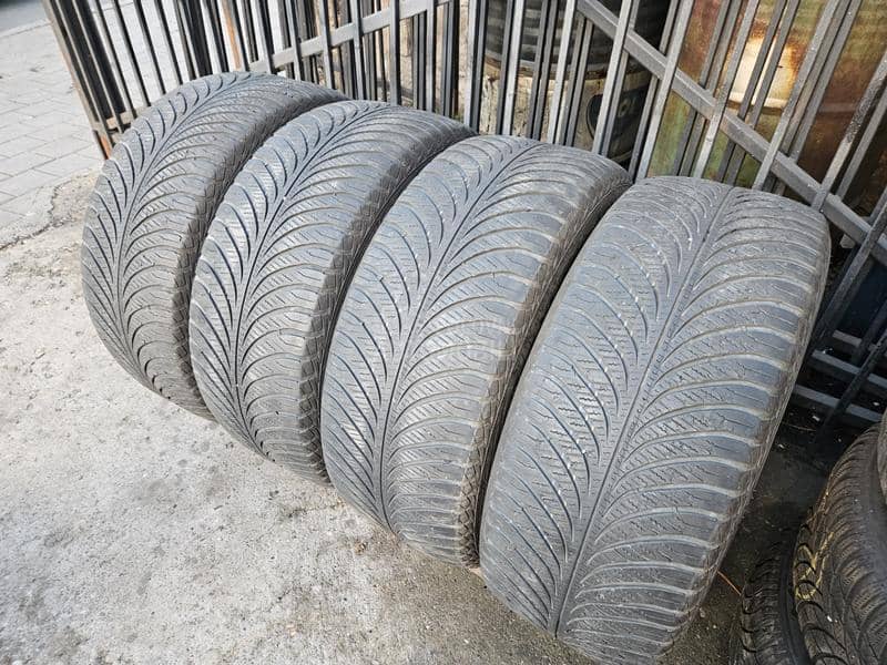 Goodyear 255/55 R18 Sve sezone