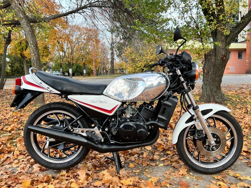 Yamaha RD 250 LC