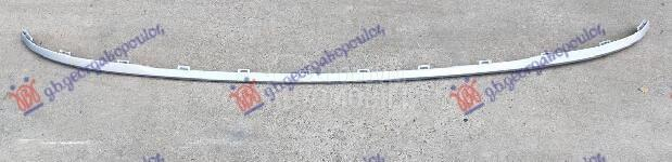 LAJSNA ZADNJEG BRANIKA SREBRNA