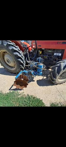 Tanjiraca pipalica ommas