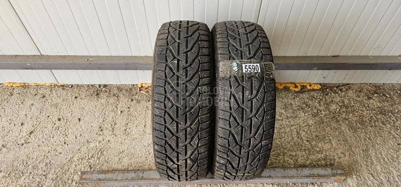 Riken 185/60 R15 Zimska