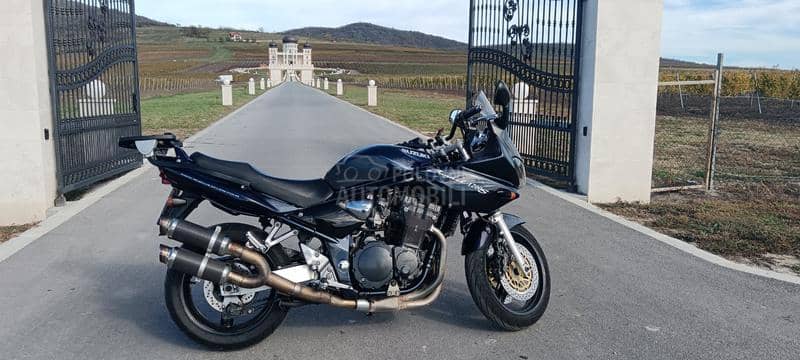 Suzuki Gsf 1200/s