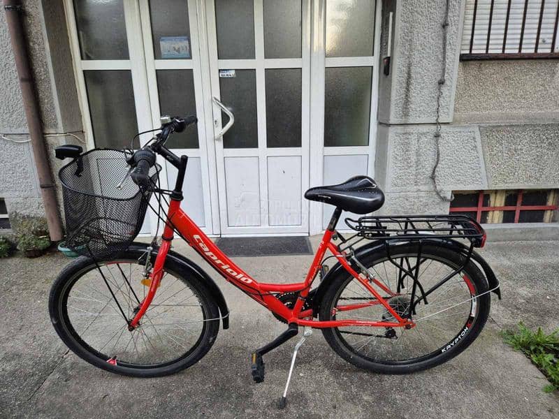 Capriolo city bike