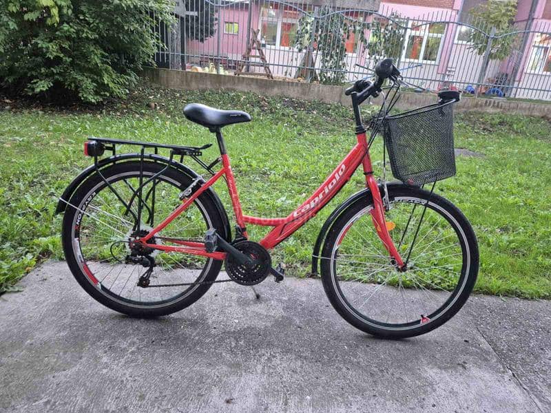 Capriolo city bike