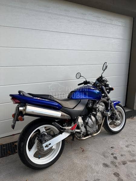 Honda Hornet