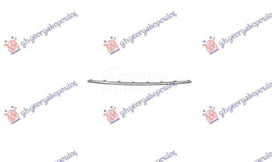 LAJSNA ZADNJEG BRANIKA DONJA S