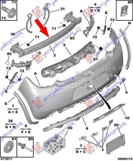 SINA ZADNJEG BRANIKA