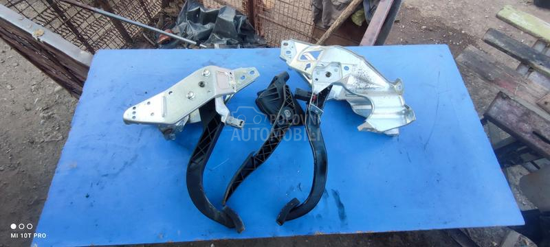 papucica gasa,kvacila,kocnice