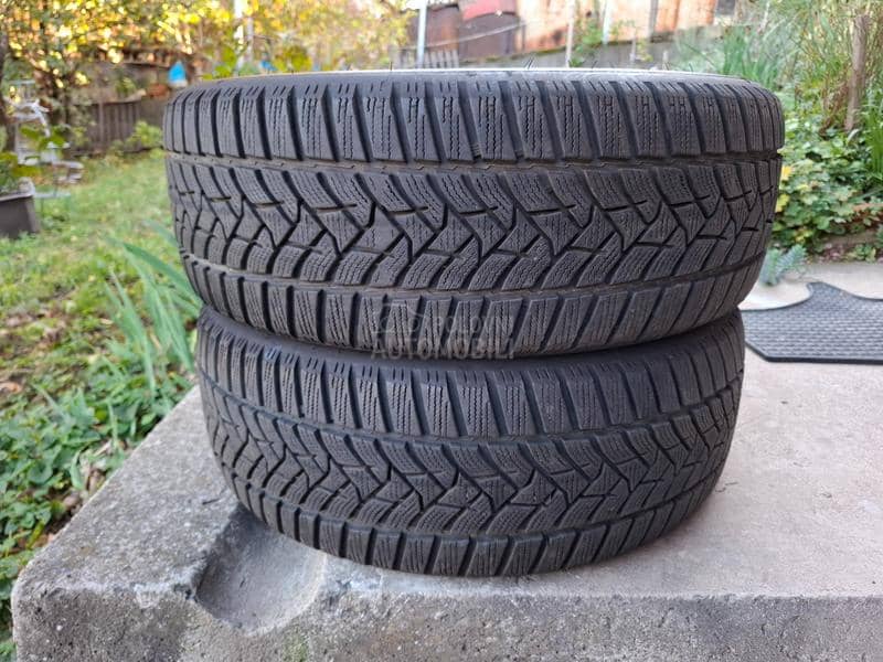Dunlop 205/55 R16 Zimska
