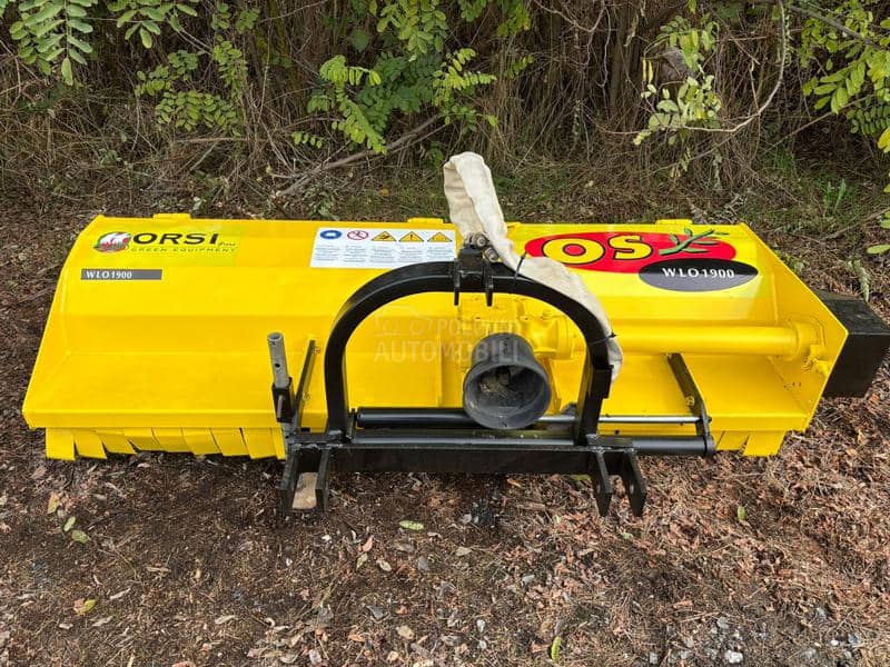Orsi Wlo 1900