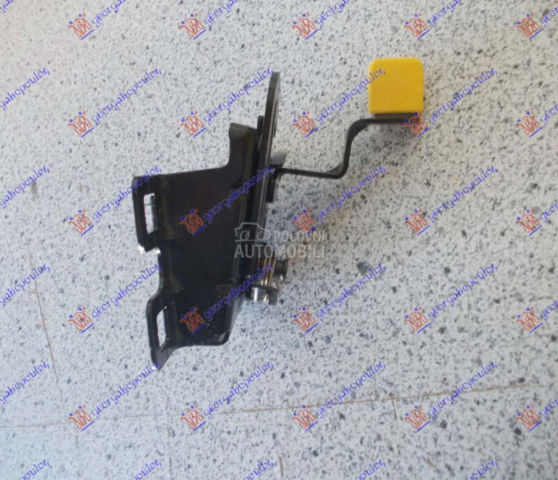 BRAVA HAUBE NA VEZNOM LIMU