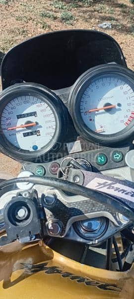 Honda HORNET