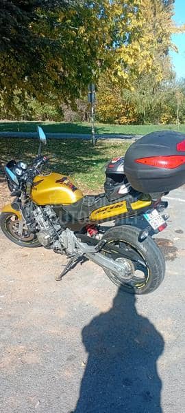 Honda HORNET