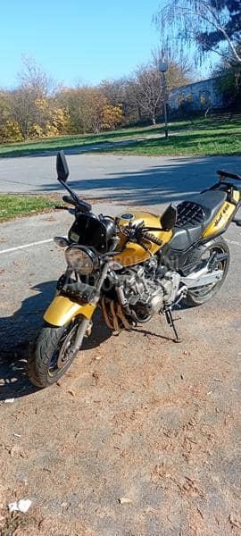 Honda HORNET