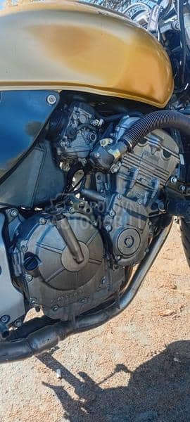 Honda HORNET