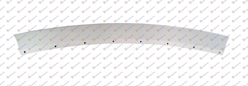 LAJSNA ZADNJEG BRANIKA DONJA S