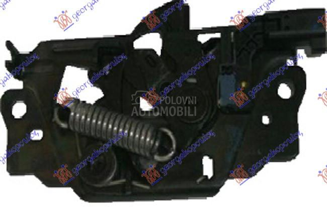 BRAVA HAUBE NA VEZNOM LIMU