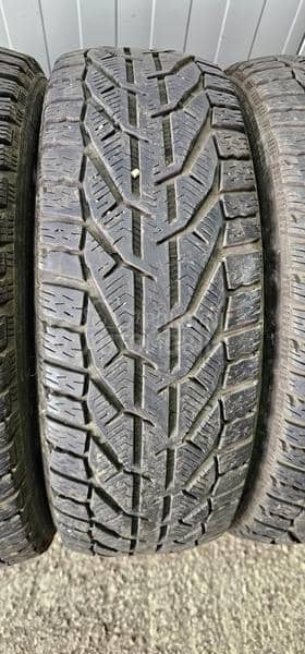 Riken 205/60 R16 Zimska
