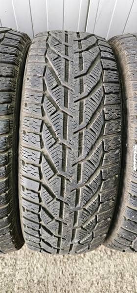 Riken 205/60 R16 Zimska
