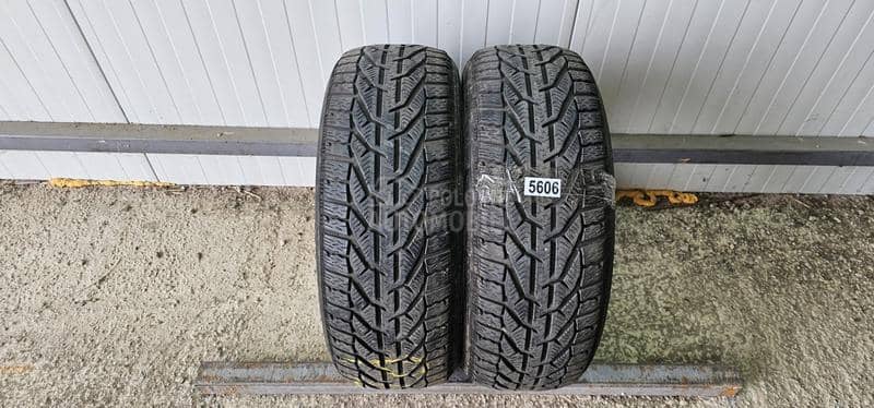 Riken 205/55 R16 Zimska