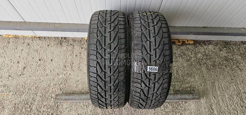 Riken 205/55 R16 Zimska