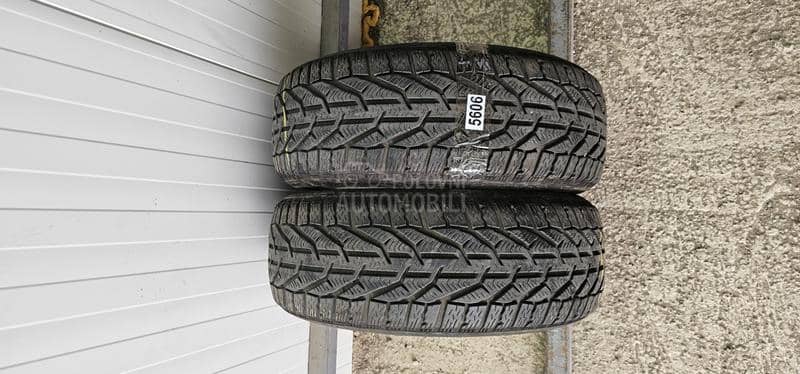 Riken 205/55 R16 Zimska