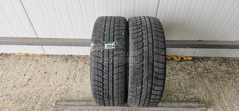 Michelin 195/55 R16 Zimska