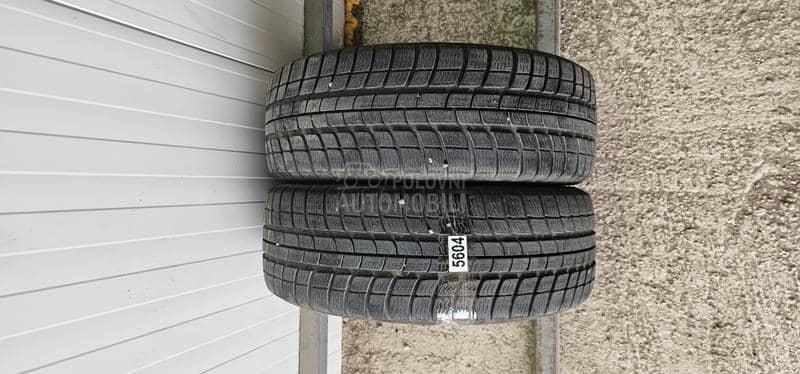 Michelin 195/55 R16 Zimska