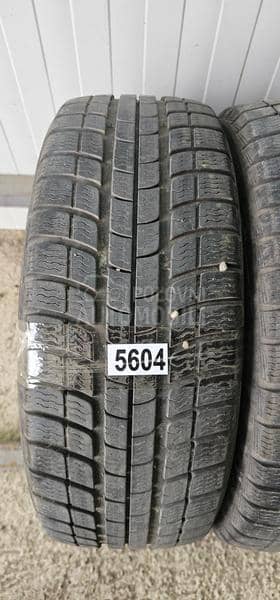 Michelin 195/55 R16 Zimska