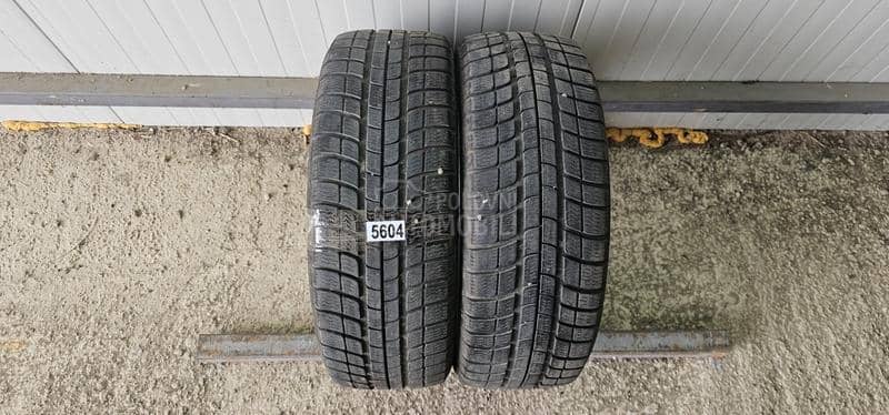 Michelin 195/55 R16 Zimska