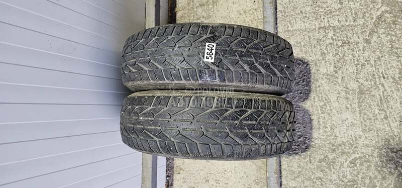 Riken 185/65 R15 Zimska