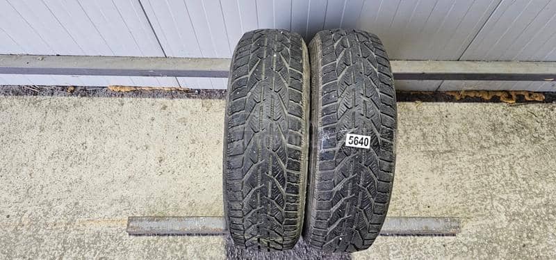 Riken 185/65 R15 Zimska