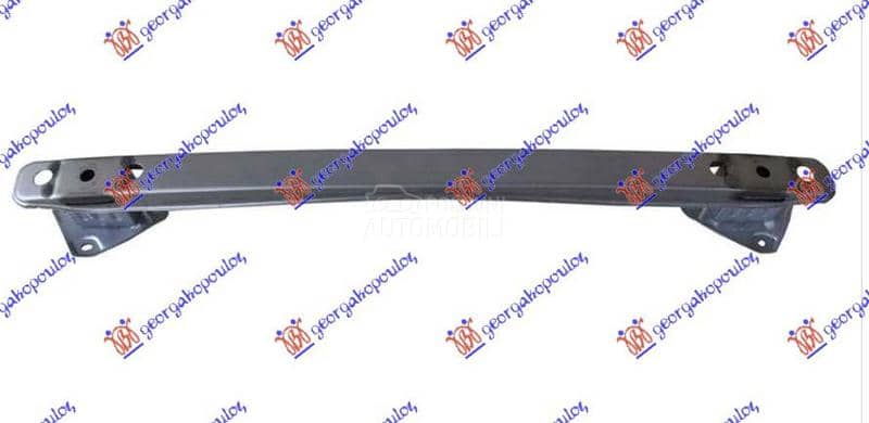 SINA ZADNJEG BRANIKA