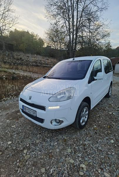 Peugeot Partner Dangel 4x4