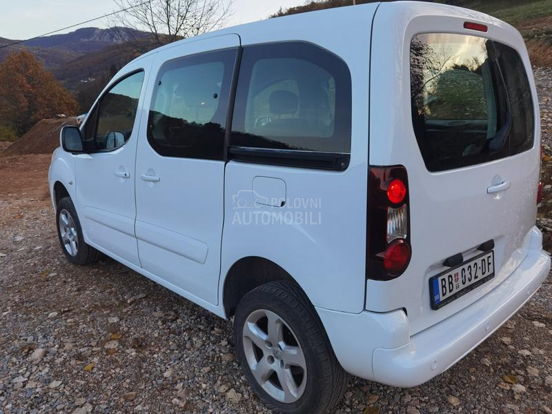 Peugeot Partner Dangel 4x4