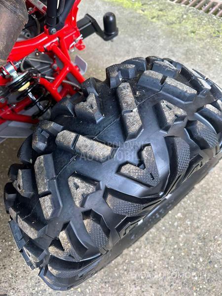 Stels GUEPARD TROPHY NOV