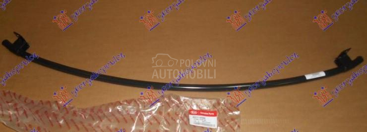 SINA PREDNJEG BRANIKA DONJA (O