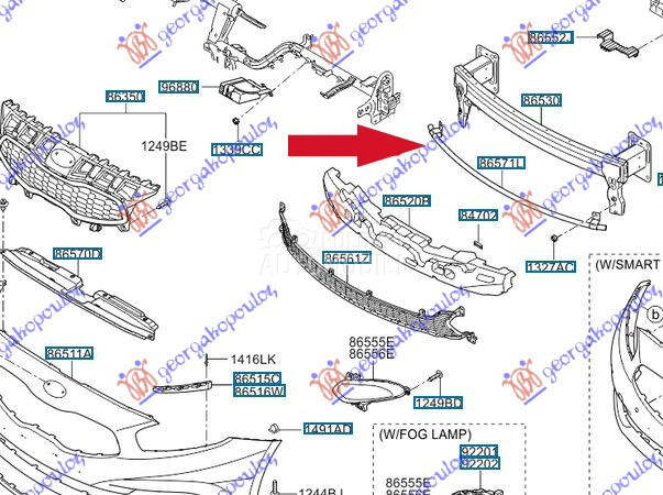 SINA PREDNJEG BRANIKA DONJA (O