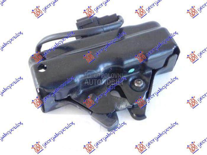 BRAVA HAUBE NA VEZNOM LIMU (SA