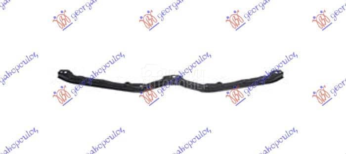 SINA PREDNJEG BRANIKA GORNJA