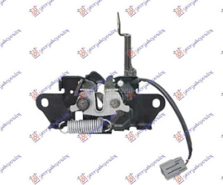 BRAVA HAUBE (SA ALARMOM)