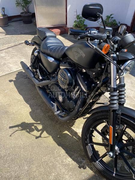 Harley Davidson Sportster 883 iron