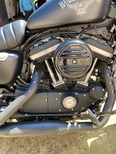 Harley Davidson Sportster 883 iron
