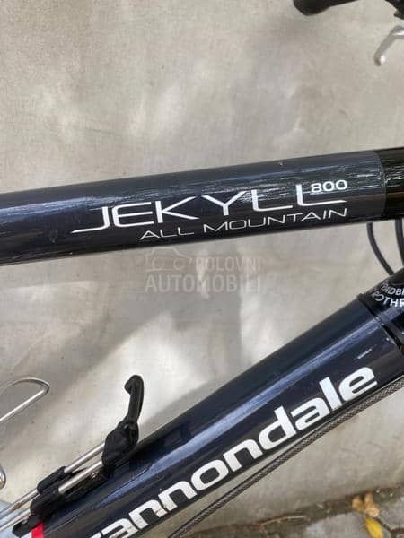Cannondale Jekyll 800