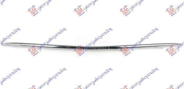 LAJSNA PREDNJEG BRANIKA DONJA