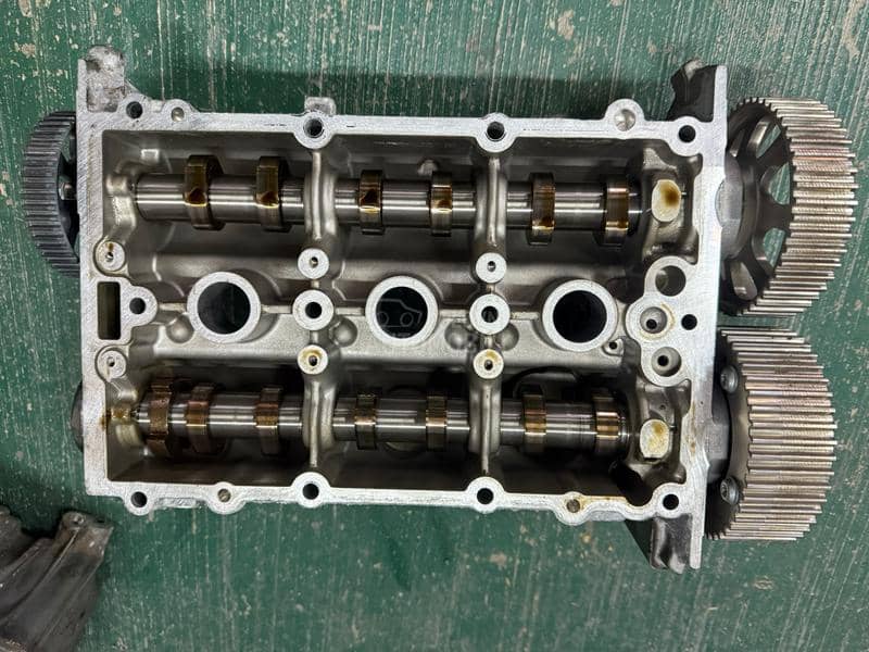 Bregaste i Glava 1.0mpi